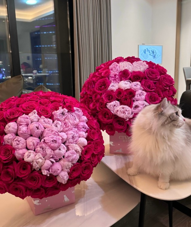 DG视讯官网平台哥哥大气！连续两年情人节送出过万鲜花 嗯宠女友吴55